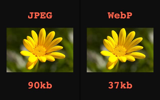 webp