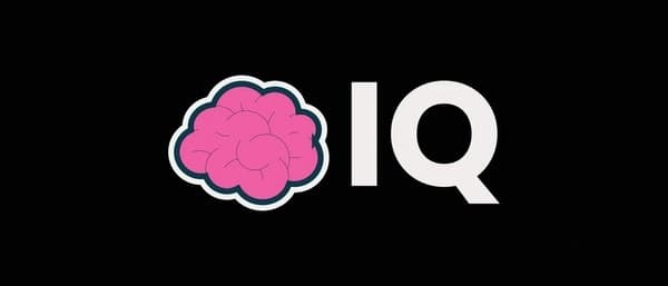 Future Prospects of the IQ Token